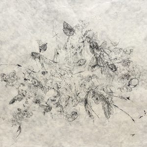Puede incluir: Un dibujo en tinta negra y blanca sobre un fondo de papel texturizado. El dibujo presenta una variedad de detalles intrincados, incluyendo una calavera, mariposas y plumas. El dibujo recuerda a un sueño o un mundo de fantasía.