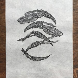Crab Linocut Print / Original Art / Beach Treasure