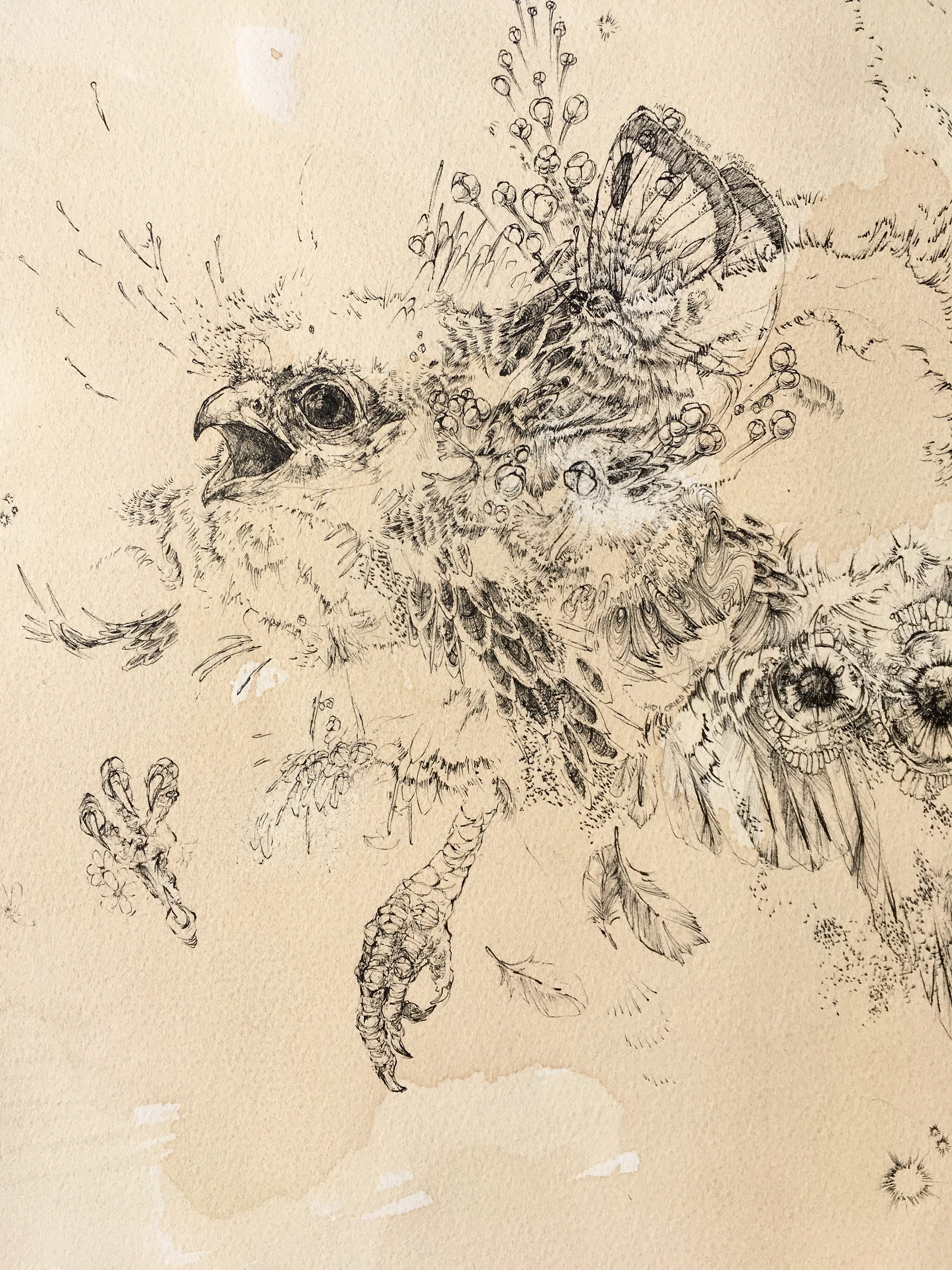 Abstract Nature Drawing / Original / Ink on Paper - Etsy