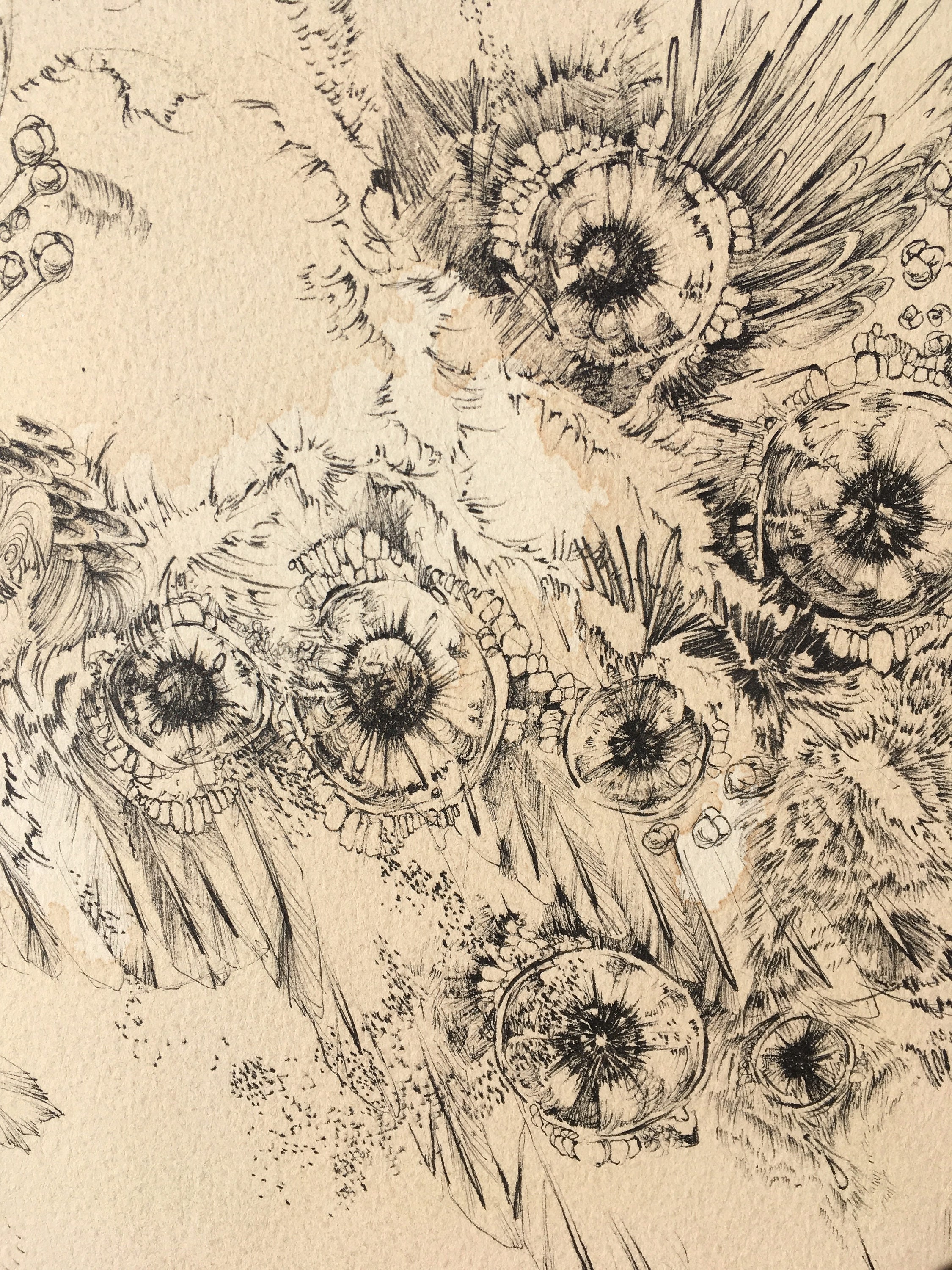 Abstract Nature Drawing / Original / Ink on Paper - Etsy