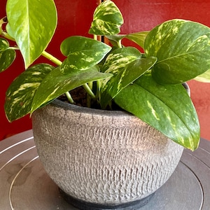 Textured raku planter