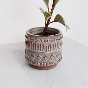 May include: A small, potted plant with variegated leaves in a brown and white ceramic pot with a geometric design.