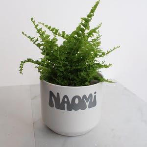 May include: A white ceramic planter with the name "NAOMI" written in grey, stylised letters. A green fern plant is growing in the planter.