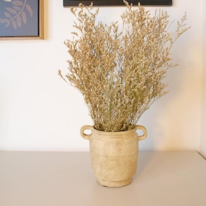 May include: Dried flowers in a beige ceramic vase with two handles. The vase has a textured surface.