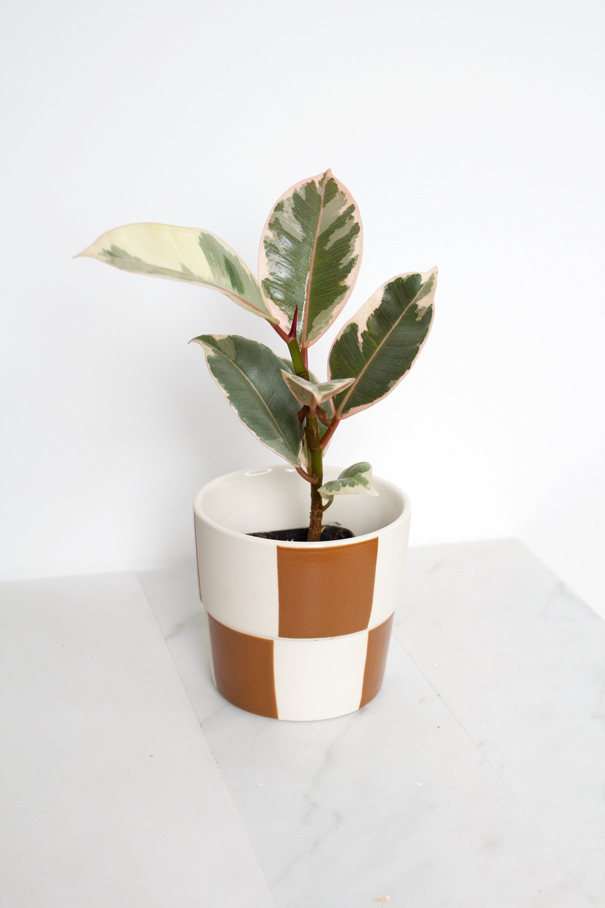Checkerboard Pot Brown Retro Planter for Indoor Plants and Home Decor Terracotta Ceramic Aesthetic Vibe Planter Modern Boho Home Decor