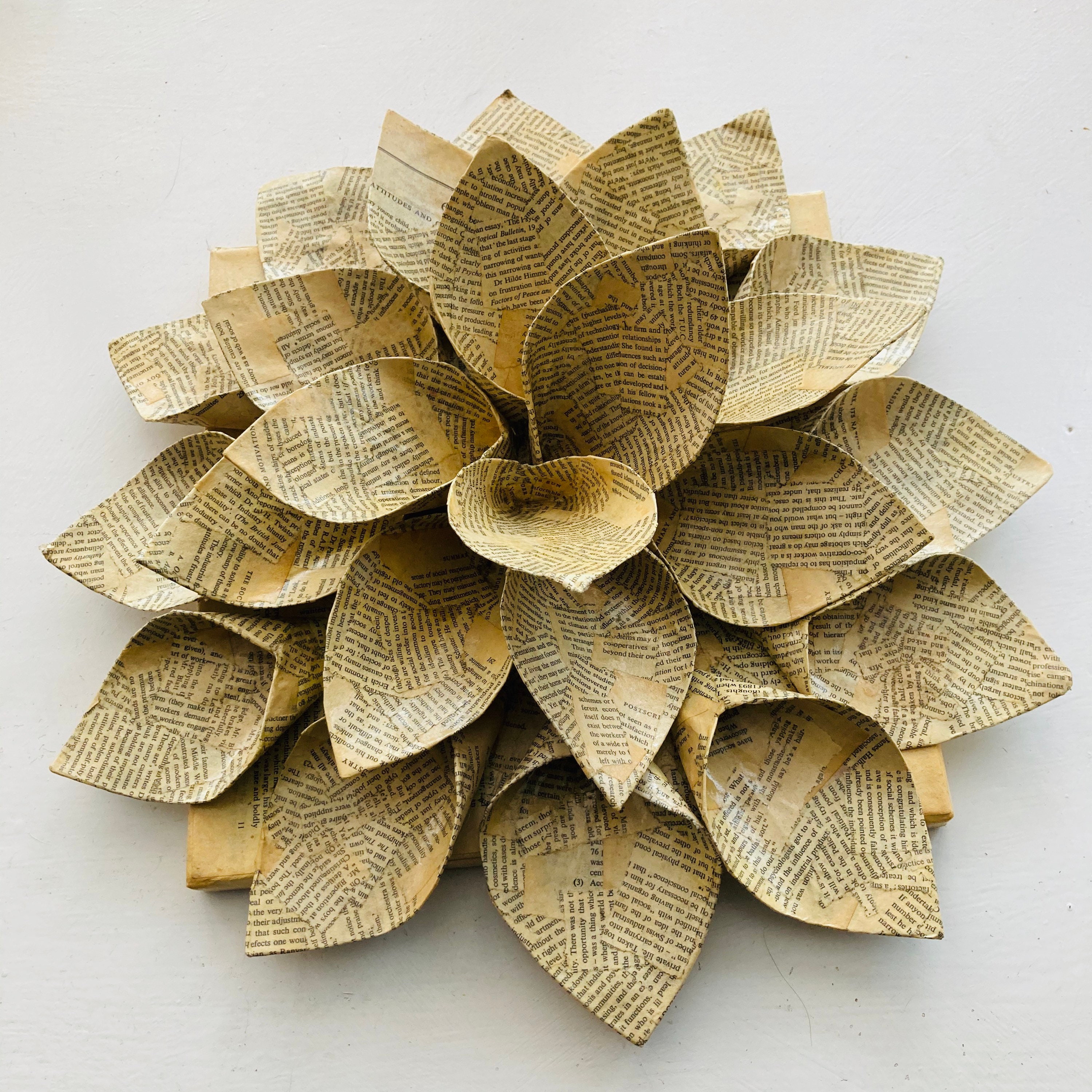 Generico Escultura de papel maché serie Gattilandia - CALICO : :  Hogar y cocina