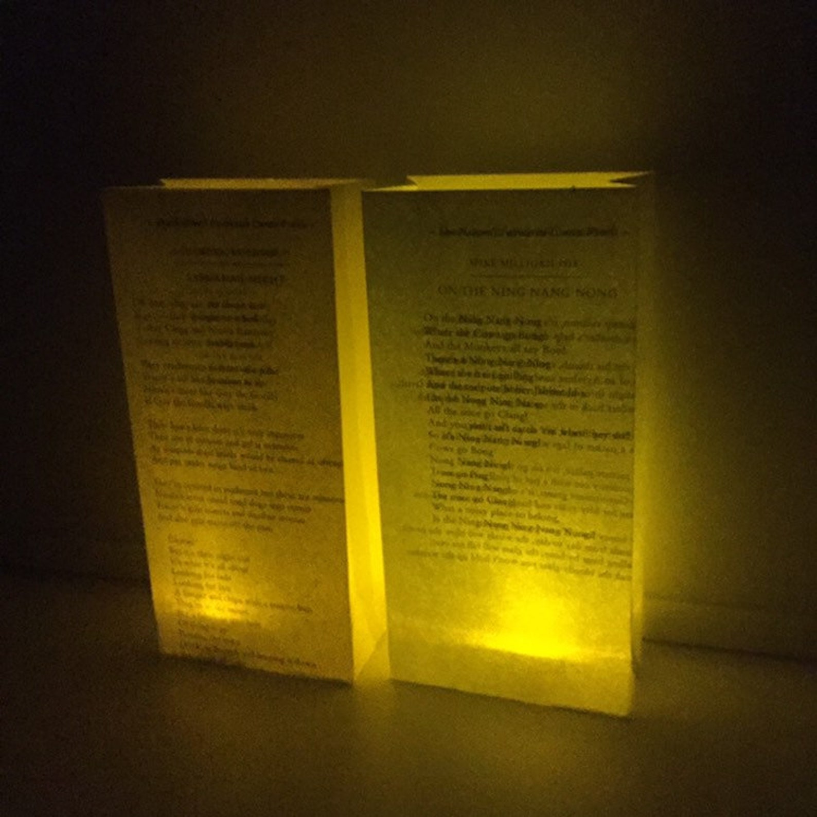 Paper Poetry Lantern Paper Lantern Wedding Decoration Etsy