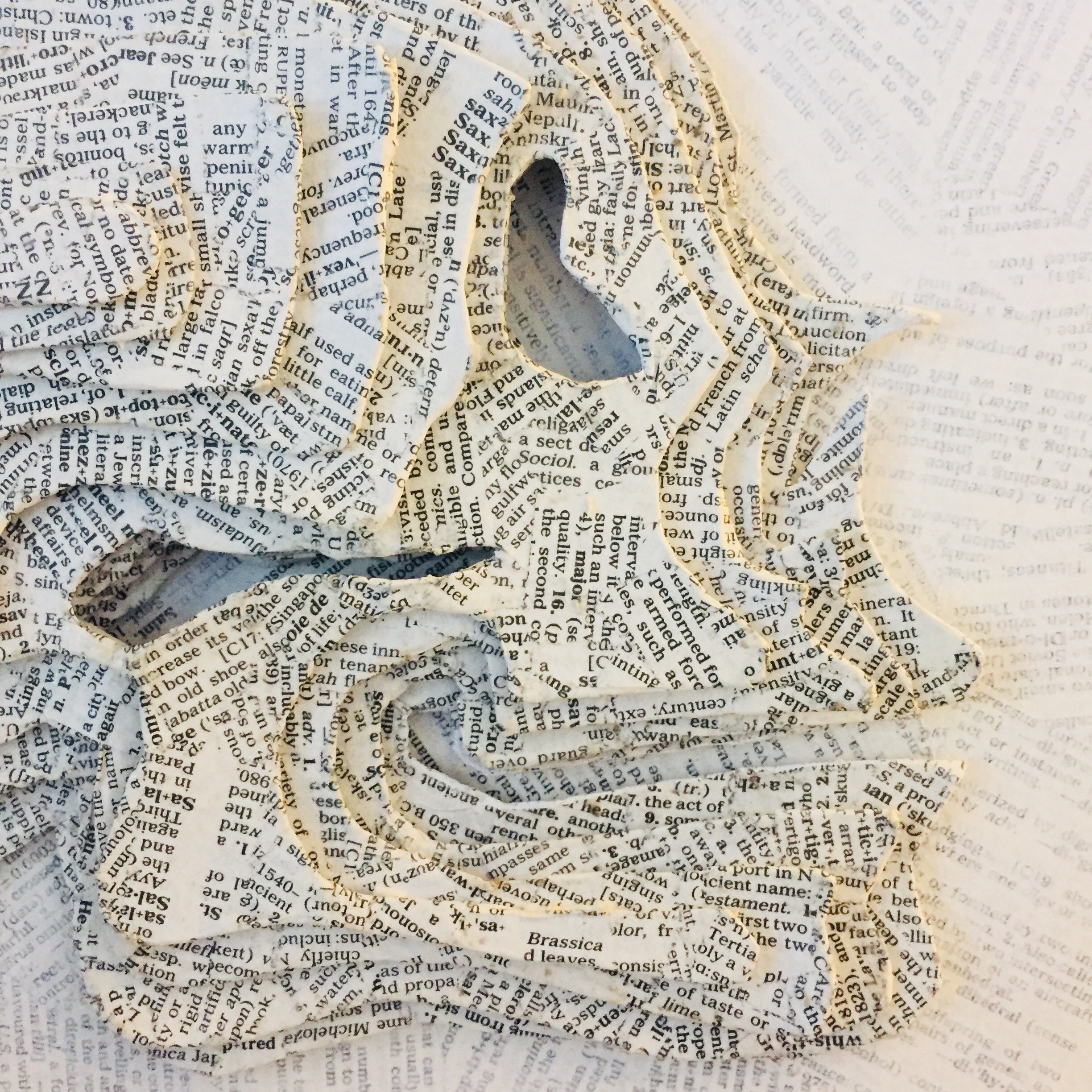 Paper Mache Book Art Skull Sculpture Skull Book Art Etsy