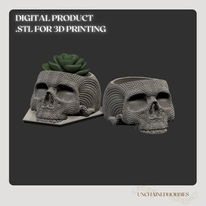 Puede incluir: Dos macetas grises con forma de calavera con un diseño texturizado. Una maceta contiene una suculenta verde. El texto "DIGITAL PRODUCT .STL FOR 3D PRINTING" está en la parte superior. Las macetas están sobre un fondo oscuro.