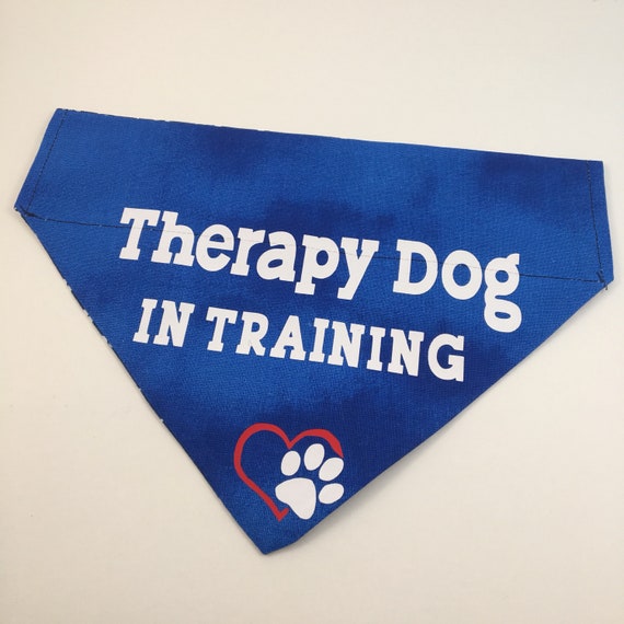 Therapy Dog In Training Service Dog in 