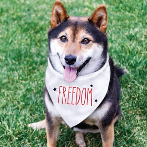 May include: A Shiba Inu dog wearing a white bandana with the word "FREEDOM" in red script and black star accents. The dog has black, brown, and tan fur and is sitting on green grass.