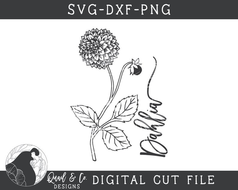 Free Free 175 Dahlia Flower Svg Free SVG PNG EPS DXF File