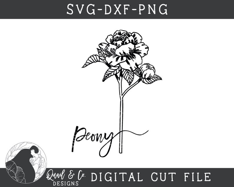 Download SVG Bundle Flower svg Floral svg Wild Flower svg Botanical | Etsy