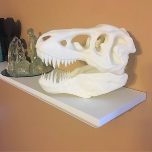 T Rex Skull Sculpture