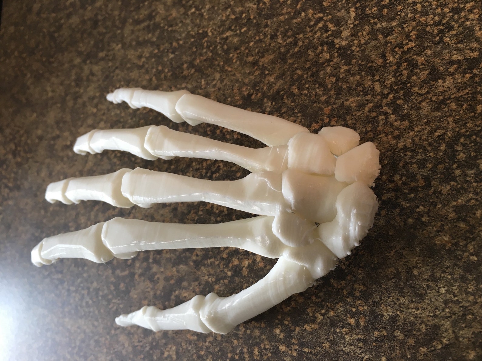 Skeleton Human Hand right Hand Prop Sculpture - Etsy