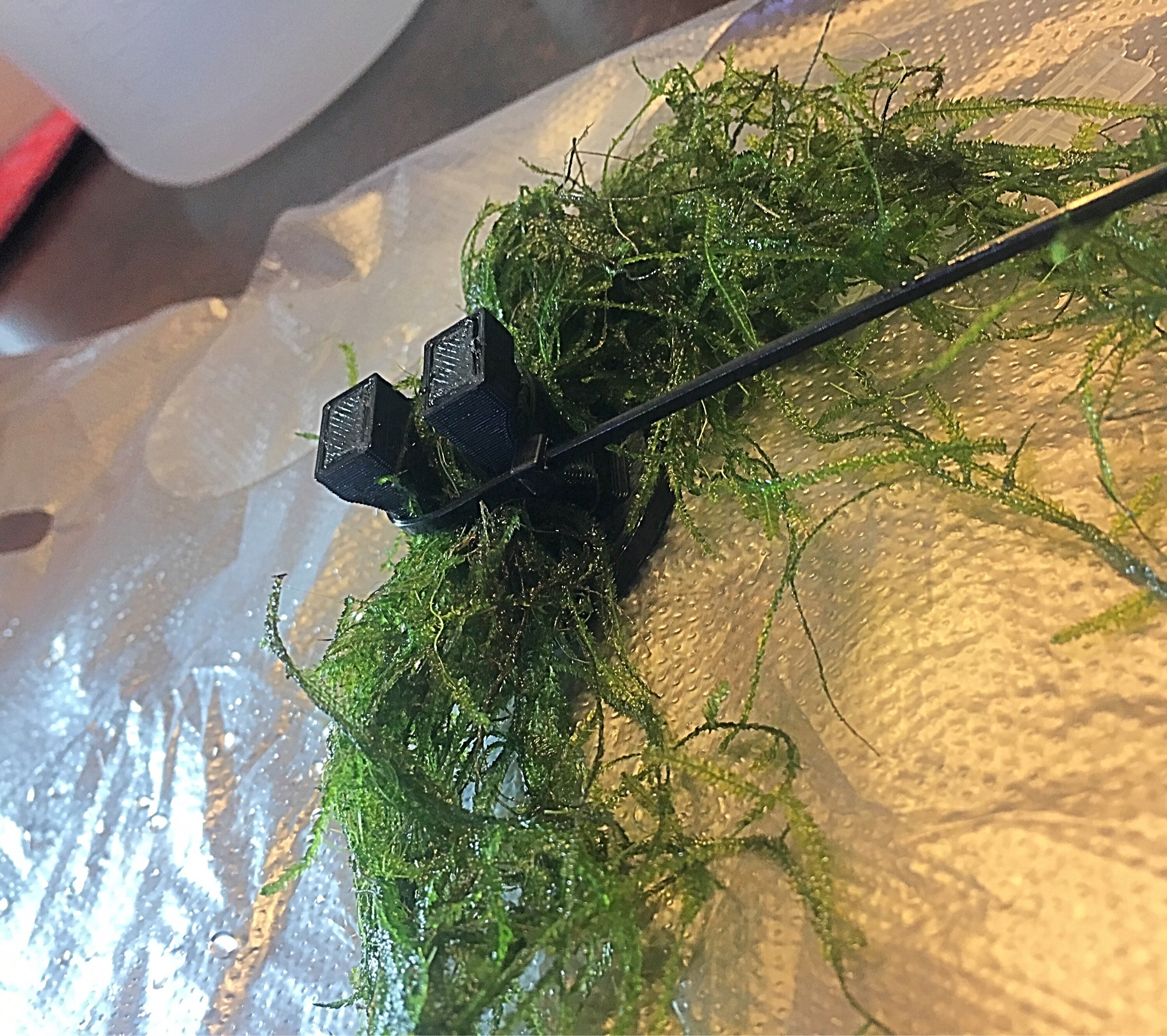 Aquarium Fish Tank Live Plant Anchors Etsy