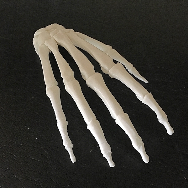 Skeleton Human Hand (Right Hand) Prop Sculpture