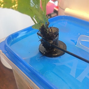 May include: A green plant with roots growing through a black plastic plant holder. The plant holder is attached to a black wire that is connected to a blue plastic container.
