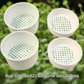 Microgreen Grower for Mason Jars