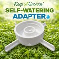 Regular Mouth Mason Jar & Soda Bottle Hybrid Microgreen Adapter: Self Watering PLA Grower