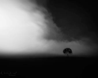 Schwarz-weiß Fotografie