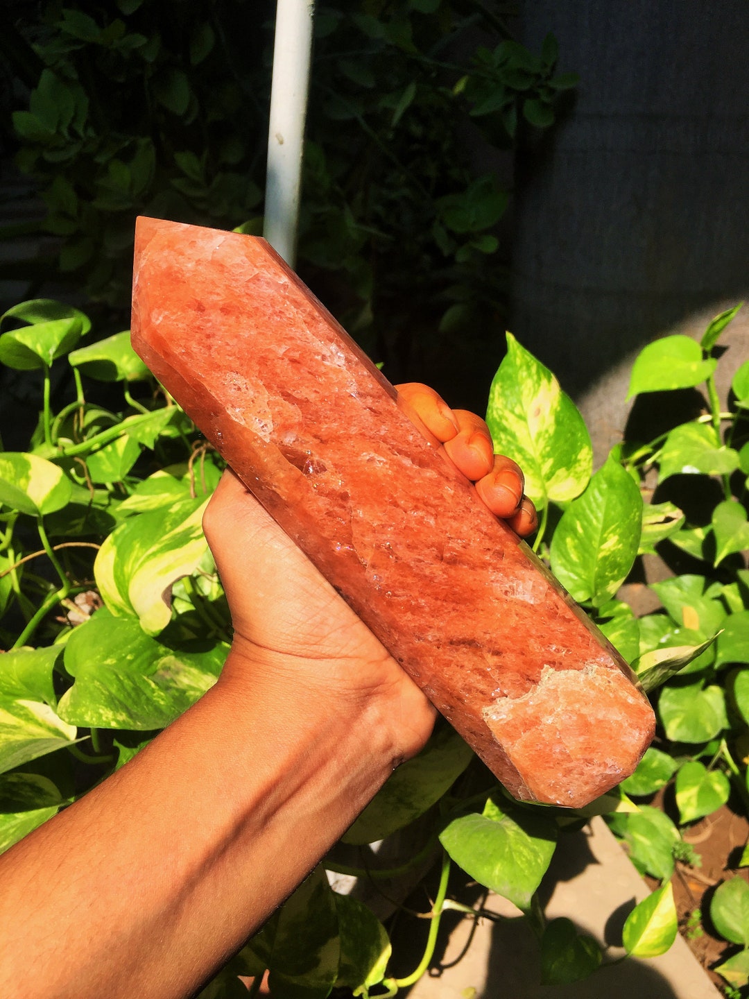 Sightly High Quality Large ~ 210MM | 8.26