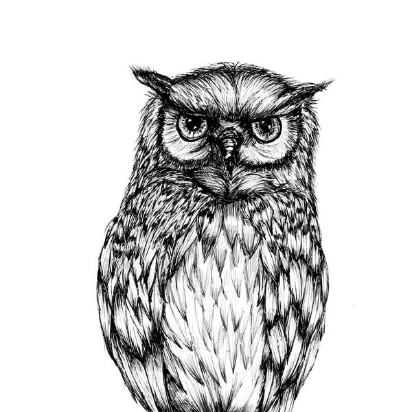 Inked Owl Print