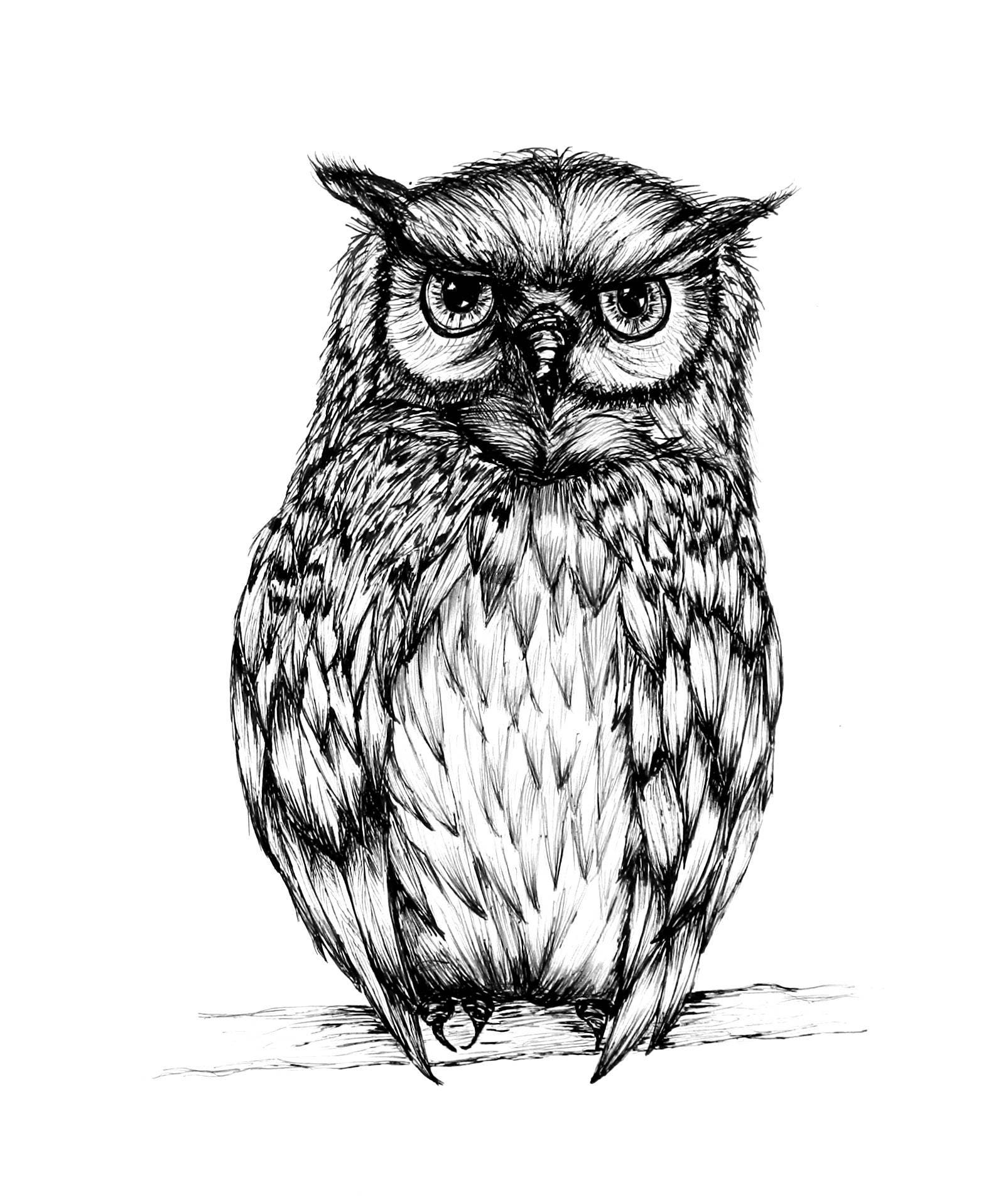 Original Owl Drawing Line Drawing Fine Liners Pen Art -  Denmark