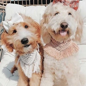 Bandana per cani Macramé con frange, Collare per cani Macramé, Bandana per cani regolabile, Bandana per animali Boho, Bandana di compleanno per cani, Regalo di Natale per mamma cane