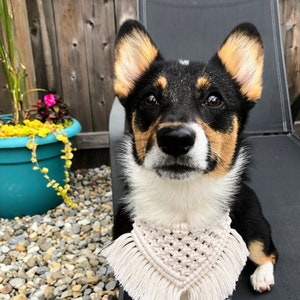 Macramé Dog Bandana with Fringe, Macramé Dog Collar, Adjustable Dog Bandana, Boho Pet Bandana, Dog Birthday Bandana, Dog Mom Christmas Gift image 3