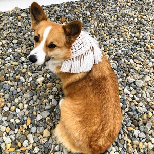 Macramé Dog Bandana with Fringe, Macramé Dog Collar, Adjustable Dog Bandana, Boho Pet Bandana, Dog Birthday Bandana, Dog Mom Christmas Gift image 5