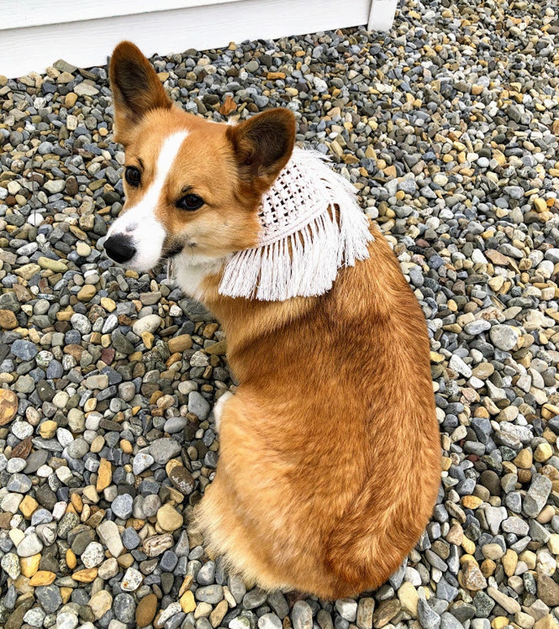 Macramé Dog Bandana with Fringe, Macramé Dog Collar, Adjustable Dog Bandana, Boho Pet Bandana, Dog Birthday Bandana, Dog Mom Christmas Gift image 5