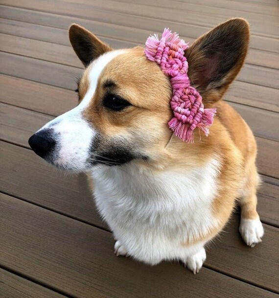 Etsy 2025 dog bows