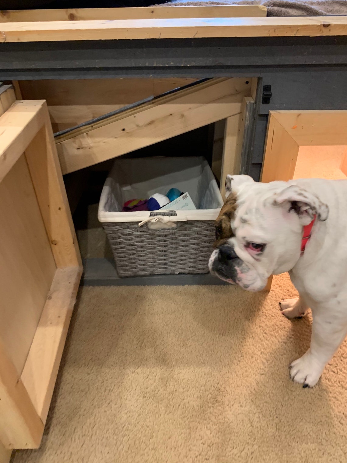 Official Eggnog the Bulldog Custom Ramp House Blueprints Etsy Australia