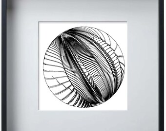 Diseño artístico SpiralExtrude2: Edición limitada, enmarcado, firmado, dibujado con plotter (A3)