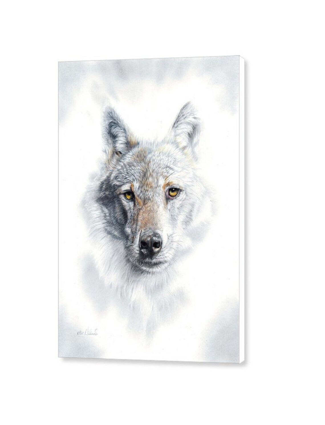 Fade To Grey LARGE CANVAS wolf Print Grey Wolf by Peter | Etsy