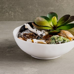 Relaxing Tropical Tabletop Water Fountain—FREE SHIPPING