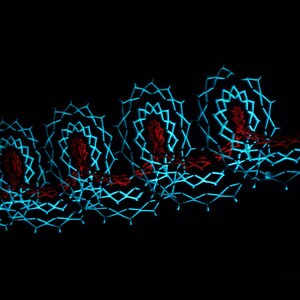 Puede incluir: Instalación de arte lumínico abstracto con un patrón geométrico azul y rojo. El patrón se crea mediante rayos de luz que se proyectan sobre un fondo oscuro.