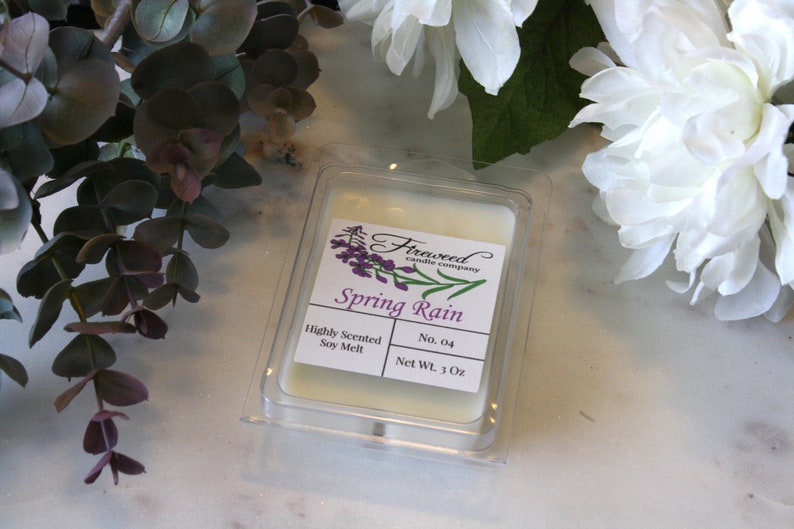 100/% Soy Candle Highly Scented Soy Melts Hand Poured Soy Tarts Soy Melts Soy Clamshell Fresh Wax Melt Spring Rain Soy Wax Melts