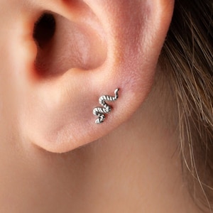 Pendiente Serpiente y Poste Labret de Titanio