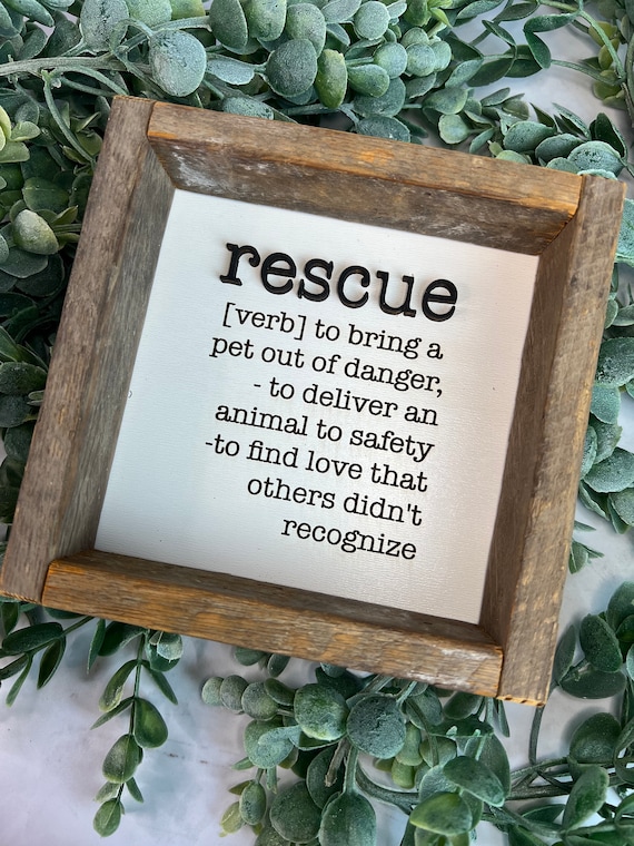 Rescue Definition Shelf Sitter Etsy