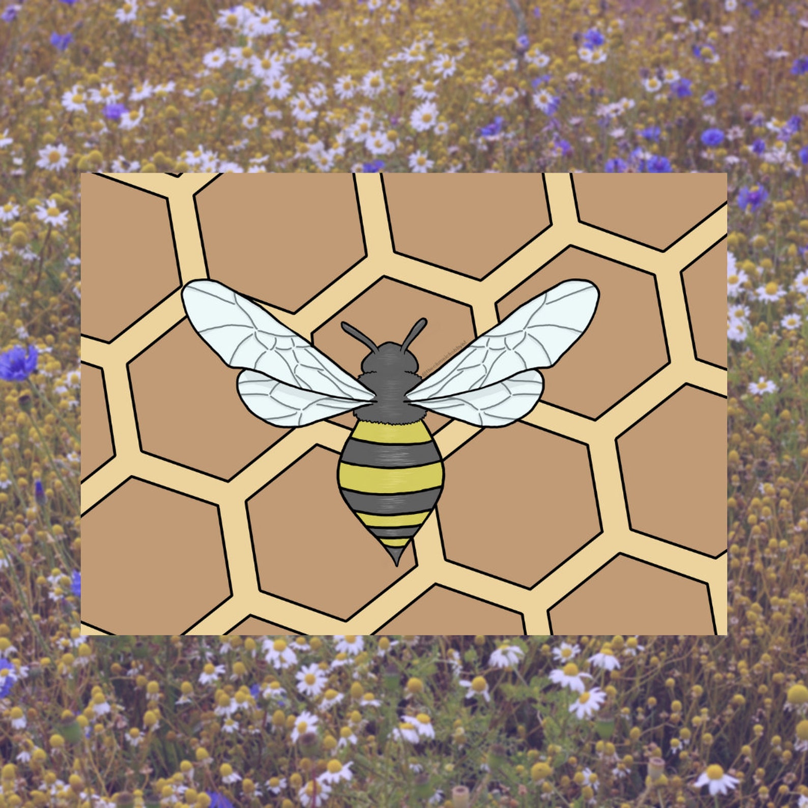 Bee on Honeycomb Coloring Page | Etsy