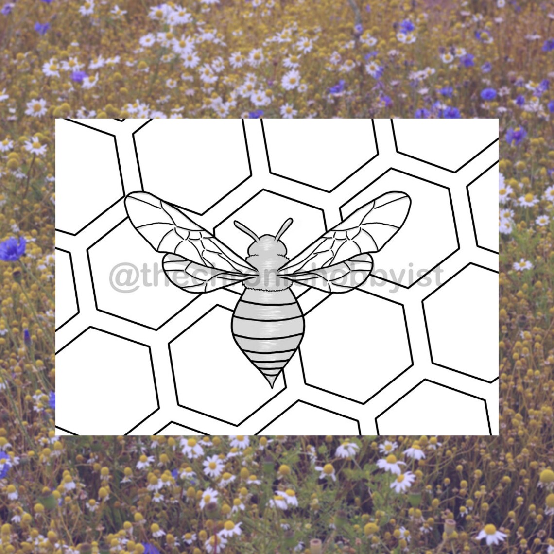 Bee on Honeycomb Coloring Page - Etsy