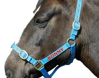 personalised headcollar
