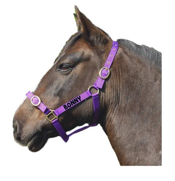 personalised headcollar