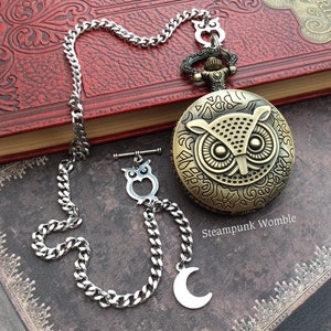 Taschenuhr Eule, Eulen Schmuck, Zeitreise Geschenk, Taschenuhr mit Kette, Steampunk Taschenuhr, viktorianisches Cosplay, Taschenuhr Trauzeugen
