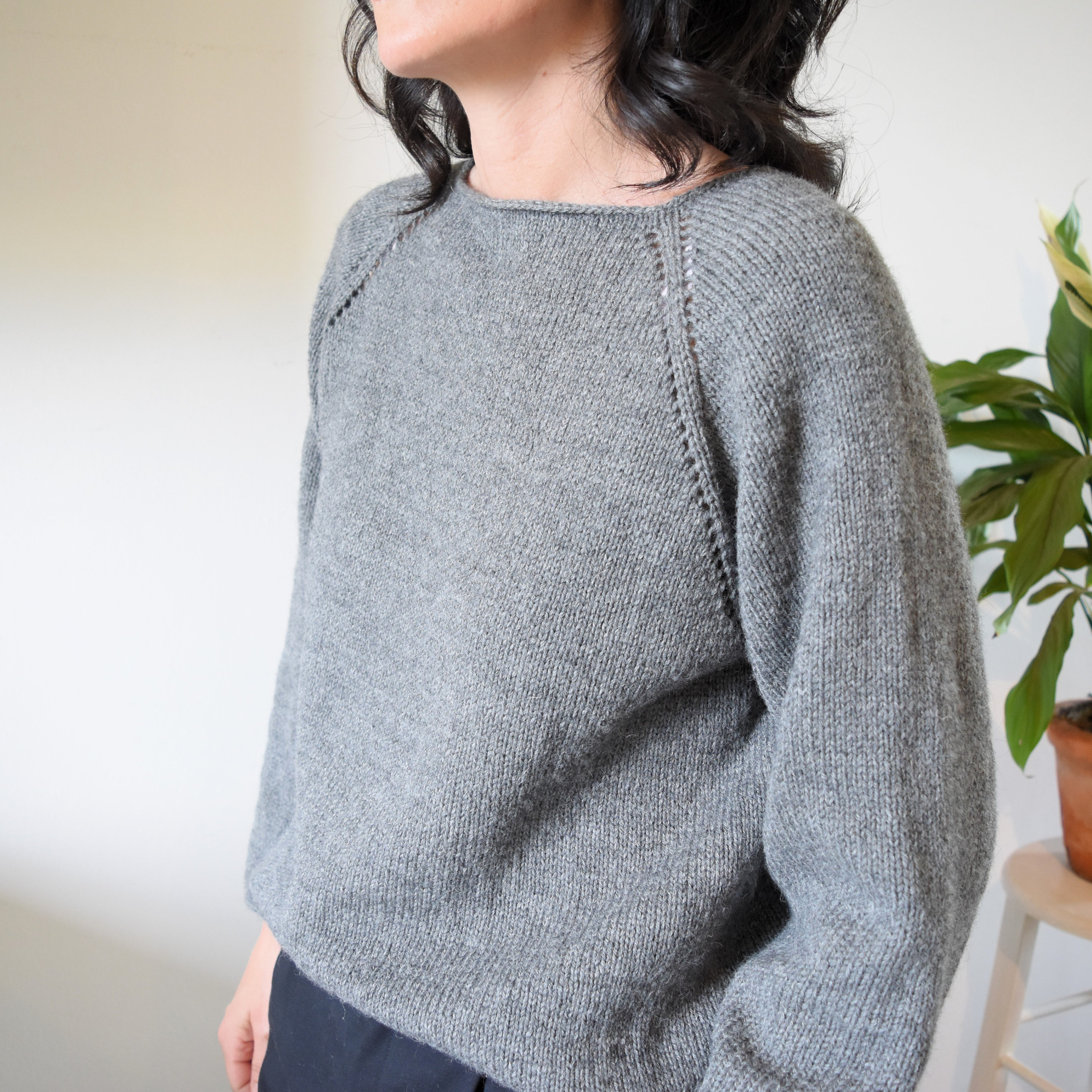 Beginner Raglan Sweater Knitting Pattern - Top-down Seamless Pullover ...