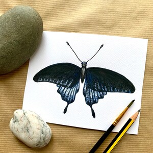 Dipinto originale ad acquerello di farfalla nera / regalo per gli amanti della fauna selvatica / arte della natura