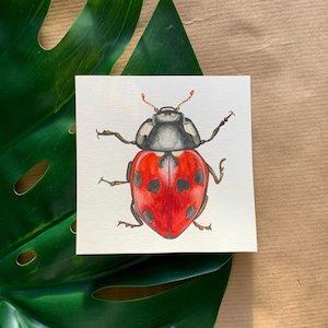 Dipinto ad acquerello originale coccinella / regalo per gli amanti della fauna selvatica / arte murale naturalistica