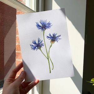Blue Cornflower Original Watercolour A5 Painting | Flower Lover Gift | Flower Wall Art